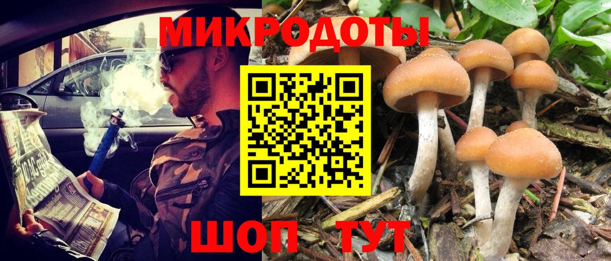 Псилоцибиновые грибы GOLDEN TEACHER Гусь-Хрустальный